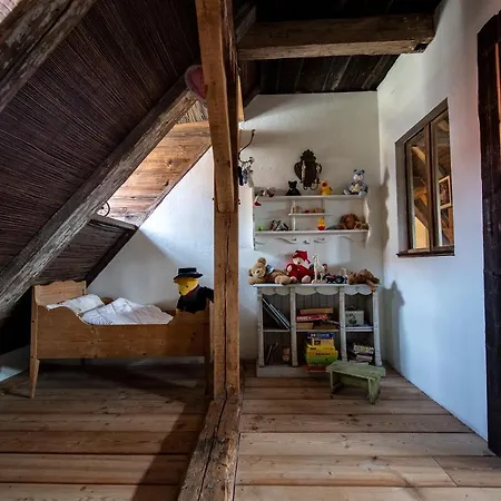 Appartement Peter 7 Altstadt - Dachstudio & Peter 7 Altstadt - Erdgeschoss Mit Gartenblick Görlitz