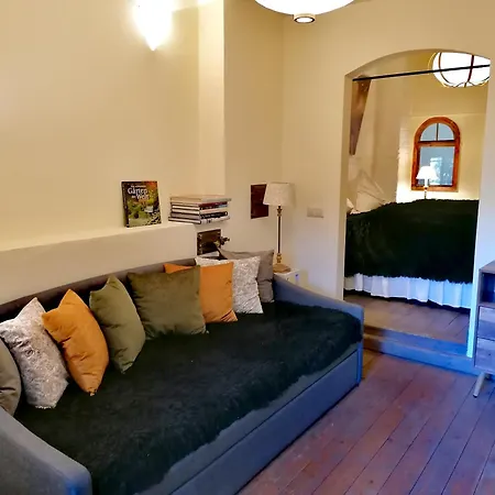 Peter 7 Altstadt - Dachstudio & Peter 7 Altstadt - Erdgeschoss Mit Gartenblick Lägenhet